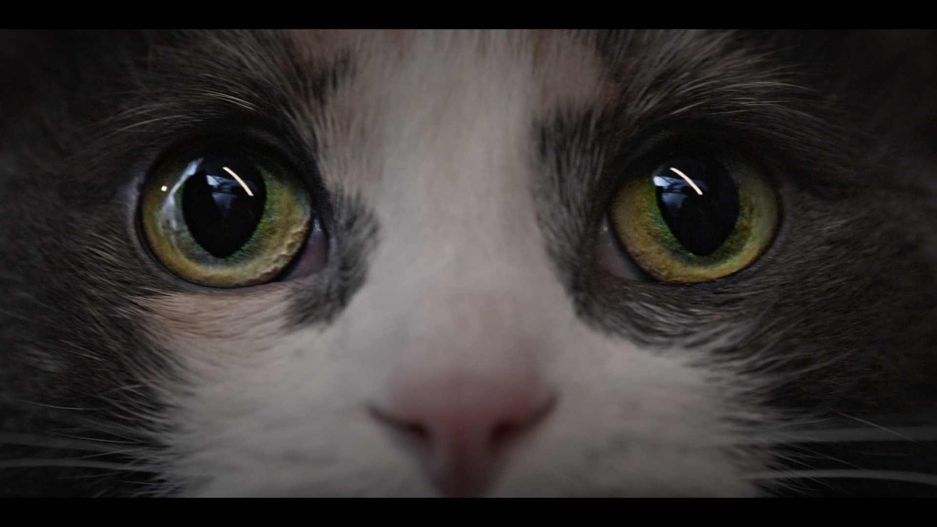 Cat in a scene from Hypnos Lullaby: Where Dreams Come to Die
